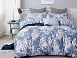 КПБ 1,5сп сатин в коробке (нав 70*70) Satin de Luxe SK Клео <613-SK>