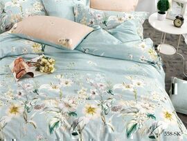 КПБ 2сп сатин в коробке (нав 70*70) Satin de Luxe SK Клео <558-SK>