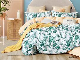 КПБ 2сп сатин в коробке (нав 70*70) Satin de Luxe SK Клео <0024-SK>