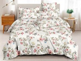 КПБ 2сп поплин Pure Cotton PC Клео <PC-208>